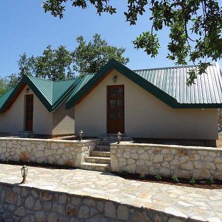 Danilovgrad Apartmani Vinici מראה חיצוני תמונה